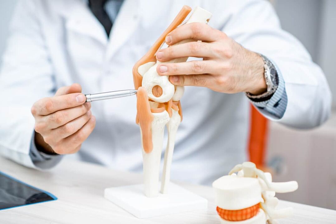 Model kolenného kĺbu, ktorý vám umožní vyhodnotiť jeho štruktúru